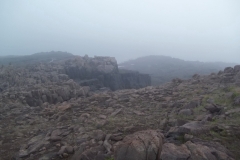 Bay-of-Fundy-Tour-2013-ACC-0023