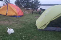 Bay-of-Fundy-Tour-2022-Gary-Conrod-0010