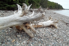 Cape-Breton-Island-Tour-2011-ACC-0035