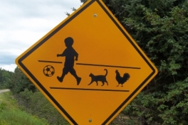 Cape-Breton-Island-Tour-2022-ACC-0011