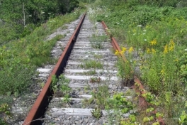 Cape-Breton-Island-Tour-2022-ACC-0017