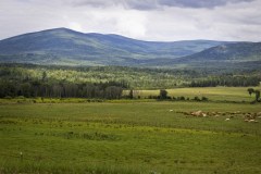 QuebecEastern-Townships-Tour-2015-ACC-0073