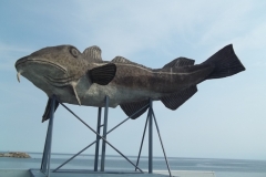 Gaspe-Tour-2015-ACC-0086