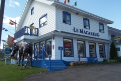 Gaspe-Tour-2015-ACC-0166