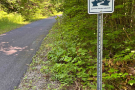 Laurentians-Tour-2022-Buz-Bragdon-0001 Laurentians-Tour-2022-Buz-Bragdon-0001