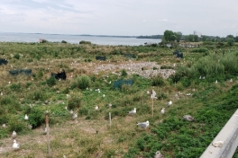 Monteregie-Tour-2019-ACC-0014