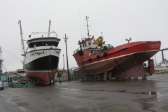 Newfoundland-Tour-2010-ACC-0066
