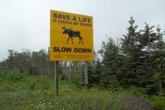 Newfoundland-Tour-2014-ACC-0112