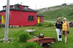 Newfoundland-Tour-2015-Rowena-Maclure-0037