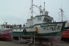 Newfoundland-Tour-2017-ACC-0089