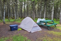 Newfoundland-Tour-2022-Lee-Hayward-0023