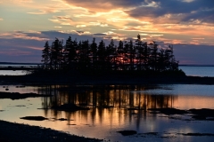 Newfoundland-Tour-2022-Sean-Lennon-0003