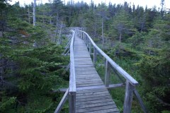 Newfoundland-Tour-1997-2009-ACC-0148