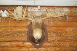 Nova-Scotia-Eastern-Shore-Tour-2016-ACC-0006