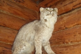 Nova-Scotia-Eastern-Shore-Tour-2016-ACC-0007