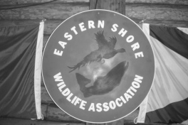 Nova-Scotia-Eastern-Shore-Tour-2016-ACC-0009