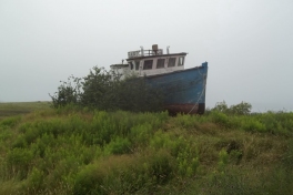 Nova-Scotia-Eastern-Shore-Tour-2016-ACC-0017