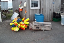 Prince-Edward-Island-East-Tour-2015-ACC-0009