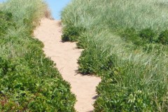 Prince-Edward-Island-East-Tour-2015-Fiona-Bower-0008