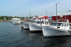 Prince-Edward-Island-West-Tour-2018-ACC-0107