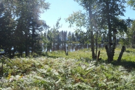 Saguenay-Lac-St-Jean-Bicycle-Tour-2011-Charles-Bergen-0029