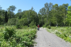 Saguenay-Lac-St-Jean-Bicycle-Tour-2011-Owenita-Rogers-0040