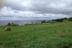 Saguenay-Lac-St-Jean-Bicycle-Tour-2014-Tess-Cyrus-0063